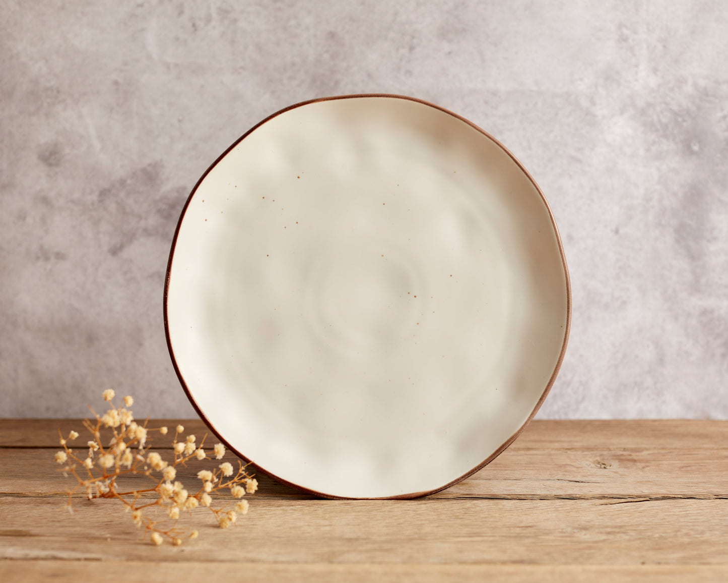 Florence Porcelain Round Dinner Plate-0