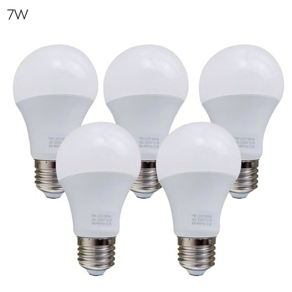 5 Pack-A60_E27 Bulb Standard Base_LED 6000K White Light Bulbs~1950