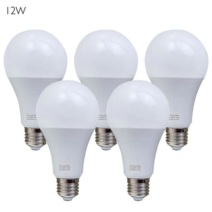 5 Pack-A60_E27 Bulb Standard Base_LED 6000K White Light Bulbs~1950